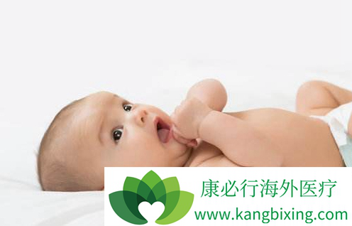 Geri培养箱